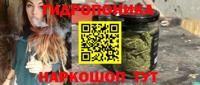 тгк Аргун
