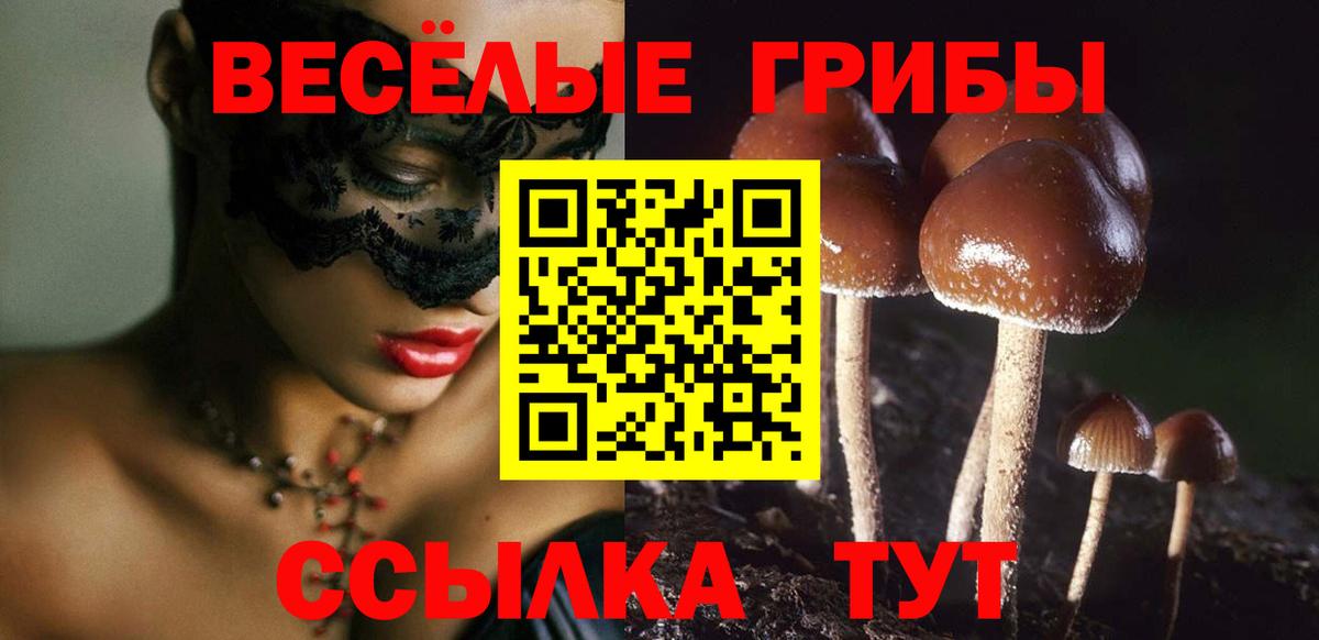 Псилоцибиновые грибы Psilocybine cubensis Ахтубинск